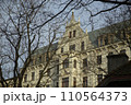 Riga in winter, view of an Art Nouveau building through a pattern of trees. Riga, Latvia. High quality photo 110564373