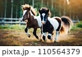 Two young horses running  .ai generated 110564379