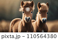Two Poniesor young horses in nature .ai generated 110564380