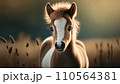 Cute Pony portrait or young horse in nature   .ai generated 110564381