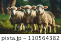 Lambs, young sheep in nature  .ai generated 110564382