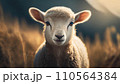 Lamb, young sheep portrait  .ai generated 110564384