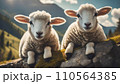 Two lambs, young sheep in nature  .ai generated 110564385
