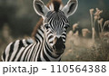 young zebra portrait in nature      .ai generated 110564388