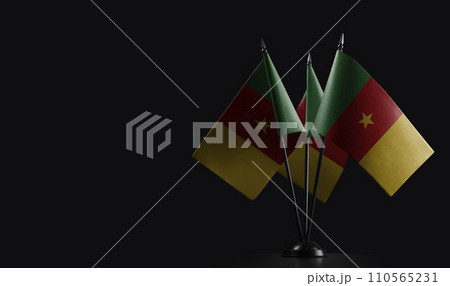 Small national flags of the Cameroon on a black background 110565231