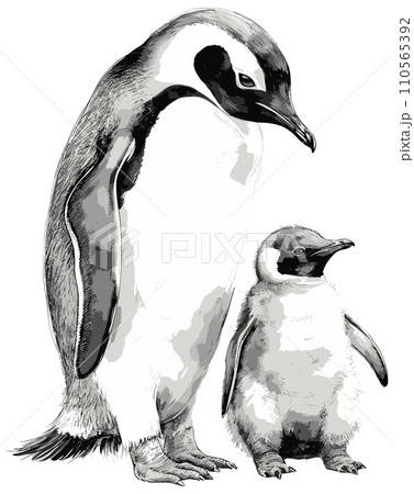 AI-generated content. Mother and child penguins watercolor sketch isolated. Penguin parent and chick family aquarelle and pencil drawing vector illustration 110565392