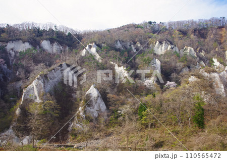 白岩（しらいわ）【宮城県仙台市秋保町】 110565472