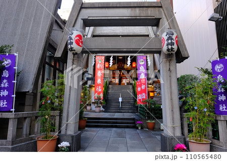 東京都港区新橋　烏森神社 110565480
