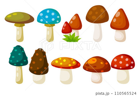 Boletus edulis. Mushroom with a brown cap. Natural product from the forest. Eco-friendly food. Flat cartoon illustration 110565524