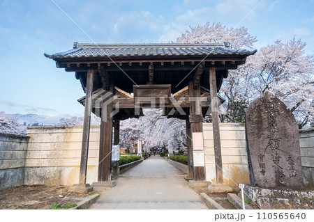 「山梨県」実相寺の山門　山高神代桜 110565640