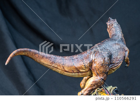 Trex Tyrannosaurus  dinosaur in the dark 110566291