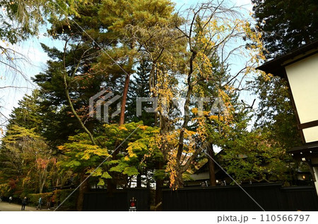 秋の角館武家屋敷 110566797