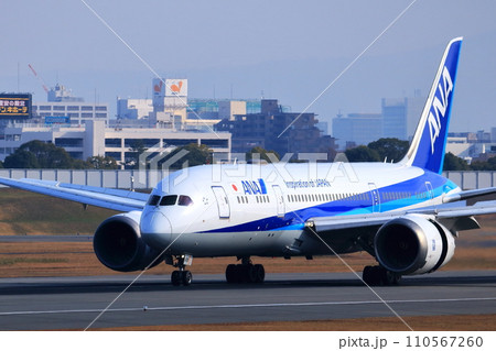 大阪国際空港　ANA　飛行機　着陸　スカイパーク 110567260
