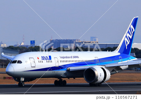 大阪国際空港 ANA 飛行機 着陸 スカイパーク 大阪国際空港 ANA 飛行機 着陸 スカイパーク 110567271