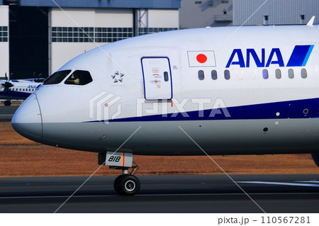大阪国際空港　ANA　飛行機　着陸　スカイパーク 110567281