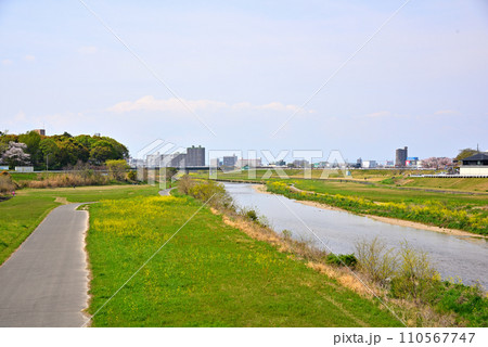 《愛知県》名古屋市東区矢田川河川敷 110567747