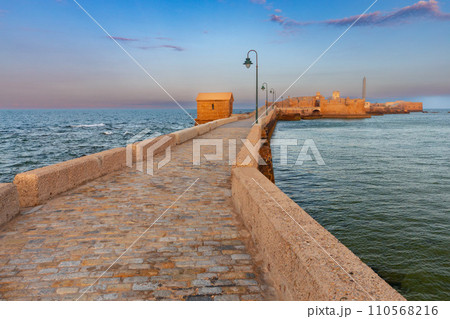 Fort Saint Sebastian and the bridge to it at dawn. 110568216