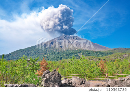 【有村溶岩展望所 (遊歩道より噴煙を上げる桜島)】 鹿児島県鹿児島市有村町 110568786