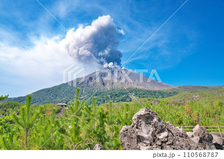 【有村溶岩展望所 (遊歩道より噴煙を上げる桜島)】 鹿児島県鹿児島市有村町 110568787