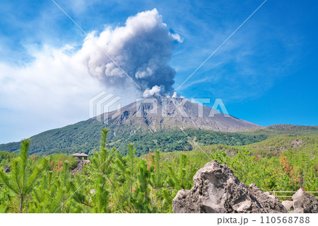【有村溶岩展望所 (遊歩道より噴煙を上げる桜島)】 鹿児島県鹿児島市有村町 110568788