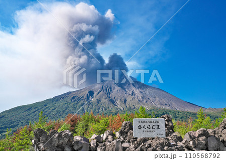 【有村溶岩展望所 (遊歩道より噴煙を上げる桜島)】 鹿児島県鹿児島市有村町 【有村溶岩展望所 (遊歩道より噴煙を上げる桜島)】 鹿児島県鹿児島市有村町 110568792