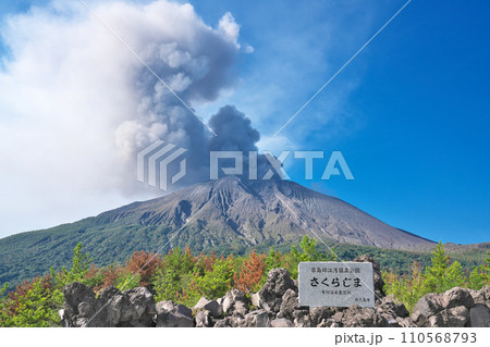 【有村溶岩展望所 (遊歩道より噴煙を上げる桜島)】 鹿児島県鹿児島市有村町 【有村溶岩展望所 (遊歩道より噴煙を上げる桜島)】 鹿児島県鹿児島市有村町 110568793