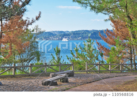 【桜島 溶岩なぎさ遊歩道】 鹿児島県鹿児島市桜島横山町 110568816