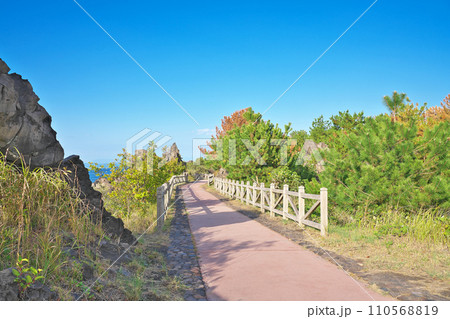 【桜島 溶岩なぎさ遊歩道】 鹿児島県鹿児島市桜島横山町 【桜島 溶岩なぎさ遊歩道】 鹿児島県鹿児島市桜島横山町 110568819