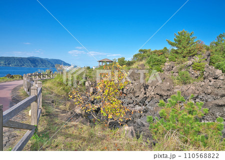 【桜島 溶岩なぎさ遊歩道】 鹿児島県鹿児島市桜島横山町 【桜島 溶岩なぎさ遊歩道】 鹿児島県鹿児島市桜島横山町 110568822