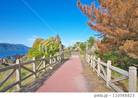 【桜島 溶岩なぎさ遊歩道】 鹿児島県鹿児島市桜島横山町 110568823