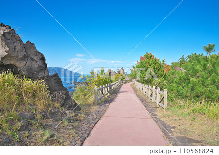 【桜島 溶岩なぎさ遊歩道】 鹿児島県鹿児島市桜島横山町 110568824