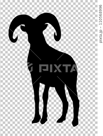 Bighorn silhouette illustration 110568996