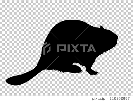 beaver silhouette illustration 110568997