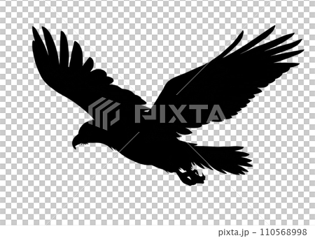 禿鷹剪影圖 禿鷹剪影圖 110568998