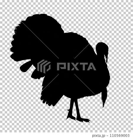turkey silhouette illustration 110569003