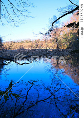 湖沼の鏡写り 水辺の冬景色 自然観察 湖沼の鏡写り 水辺の冬景色 自然観察 110569249