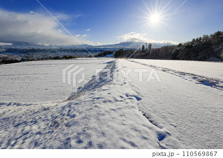 雪の赤城山と沼田河岸段丘の街 110569867