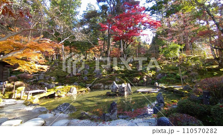 晩秋の西明寺庭園「蓬莱庭」 晩秋の西明寺庭園「蓬莱庭」 110570282