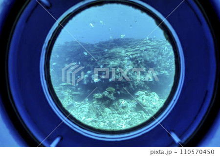 ブセナ海中公園　海中展望塔から見たサンゴ礁とオヤビッチャの群れ　沖縄県名護市 110570450