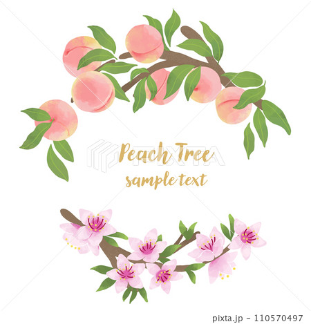 モモの花と果実のフレームイラスト 110570497