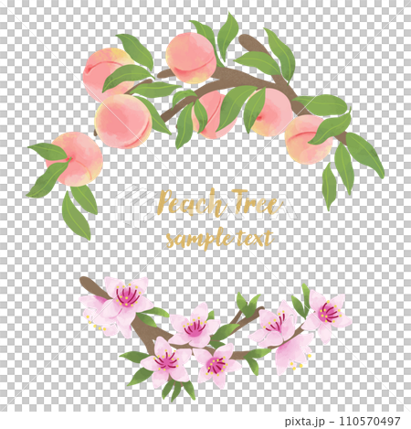 モモの花と果実のフレームイラスト 110570497