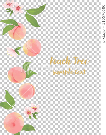 桃花果豎框圖 110570500