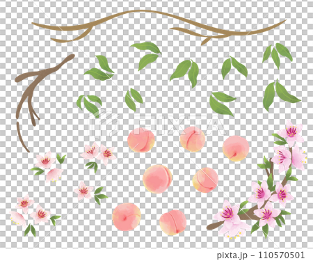 水彩風_桃・ピーチのイラストパーツ素材 水彩風_桃・ピーチのイラストパーツ素材 110570501