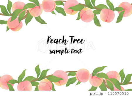 水彩風のモモの横ラインフレームイラスト 110570510