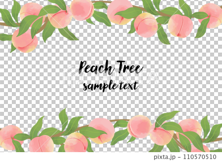 水彩風のモモの横ラインフレームイラスト 110570510