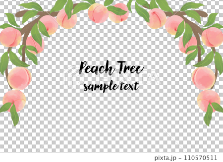 水彩風のモモのフレームイラスト 水彩風のモモのフレームイラスト 110570511