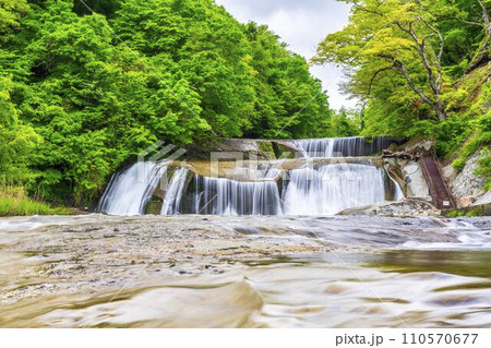新緑の滑津大滝 白石川の流れ 宮城県七ヶ宿町 新緑の滑津大滝 白石川の流れ 宮城県七ヶ宿町 110570677
