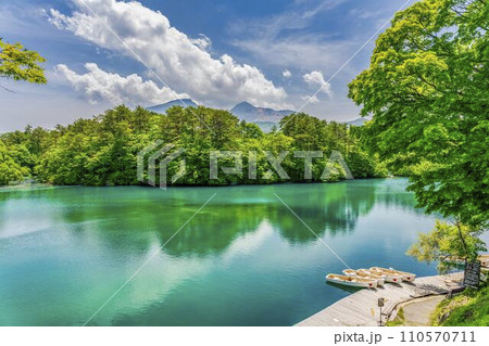 初夏の毘沙門沼(五色沼)の風景 新緑と湖面 福島県北塩原村 初夏の毘沙門沼(五色沼)の風景 新緑と湖面 福島県北塩原村 110570711