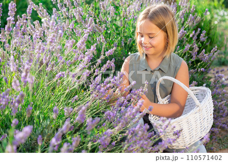Little girl beside lavender shrub Little girl beside lavender shrub 110571402