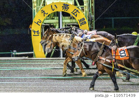 ナイターのばんえい競馬　帯広競馬場　 110571439
